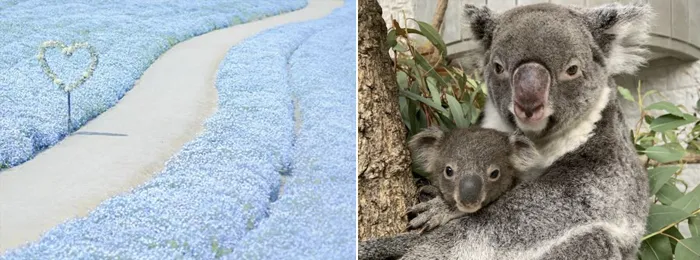 イメージ画像｜イングランドの丘